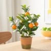 Orchard Mini Faux Orange Tree 16h" Potted Plant -Chic Furniture Shop 26368 z lg
