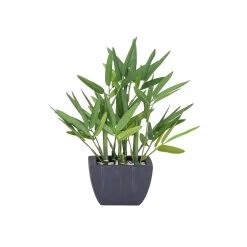 Bamboo 10h" Faux Potted Plant -Chic Furniture Shop 26387 z 1 lg e3bcddab 9ec1 4b59 9fb8 bed9e7a68722