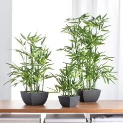 Bamboo 18h" Faux Potted Plant -Chic Furniture Shop 26389 z 5 lg 17498105 6a7e 40c9 8e3e fe9e5038f05e