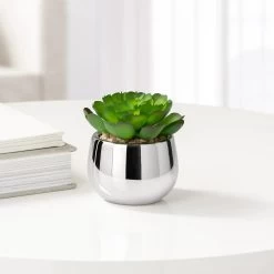 Silver Ball Potted Faux Succulent - Echeveria -Chic Furniture Shop 26466 z 1 lg