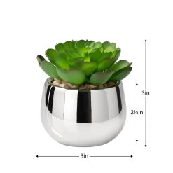 Silver Ball Potted Faux Succulent - Echeveria -Chic Furniture Shop 26466 z 3 lg