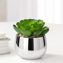 Silver Ball Potted Faux Succulent - Echeveria