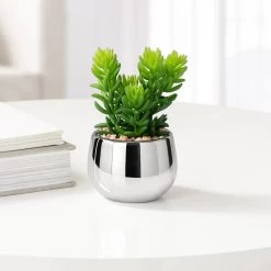 Silver Ball Potted Faux Succulent - Jellybean -Chic Furniture Shop 26468 z 1 lg