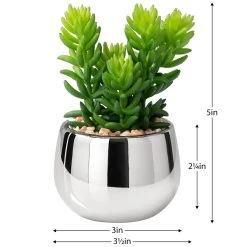 Silver Ball Potted Faux Succulent - Jellybean -Chic Furniture Shop 26468 z 3 lg