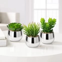 Silver Ball Potted Faux Succulent - Jellybean -Chic Furniture Shop 26468 z 4 lg