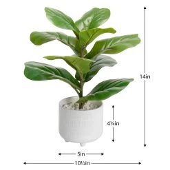 Riviera Ceramic Potted Faux 14h" Fiddle Leaf Fig Plant -Chic Furniture Shop 26595 z 4 lg