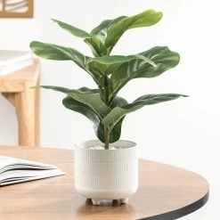 Riviera Ceramic Potted Faux 14h" Fiddle Leaf Fig Plant