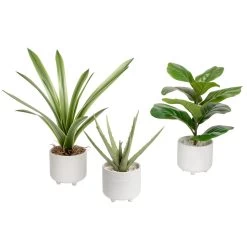 Riviera Ceramic Potted Faux 11h" Aloe Succulent Plant -Chic Furniture Shop 26596 z 3 lg