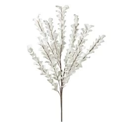 Desert Multi Bloom Eucalyptus 54" Stem - White