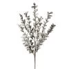 Desert Multi Bloom Eucalyptus 54" Stem - Grey