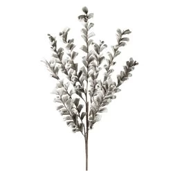 Desert Multi Bloom Eucalyptus 54" Stem - Grey