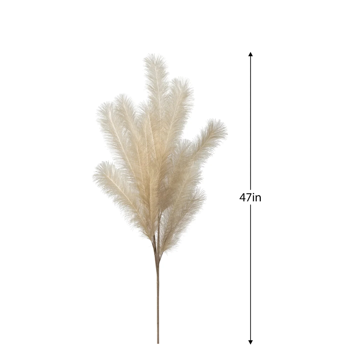 Desert Feather Pampas Stem - Cream 4 Desert Feather Pampas Stem - Cream - Image 2