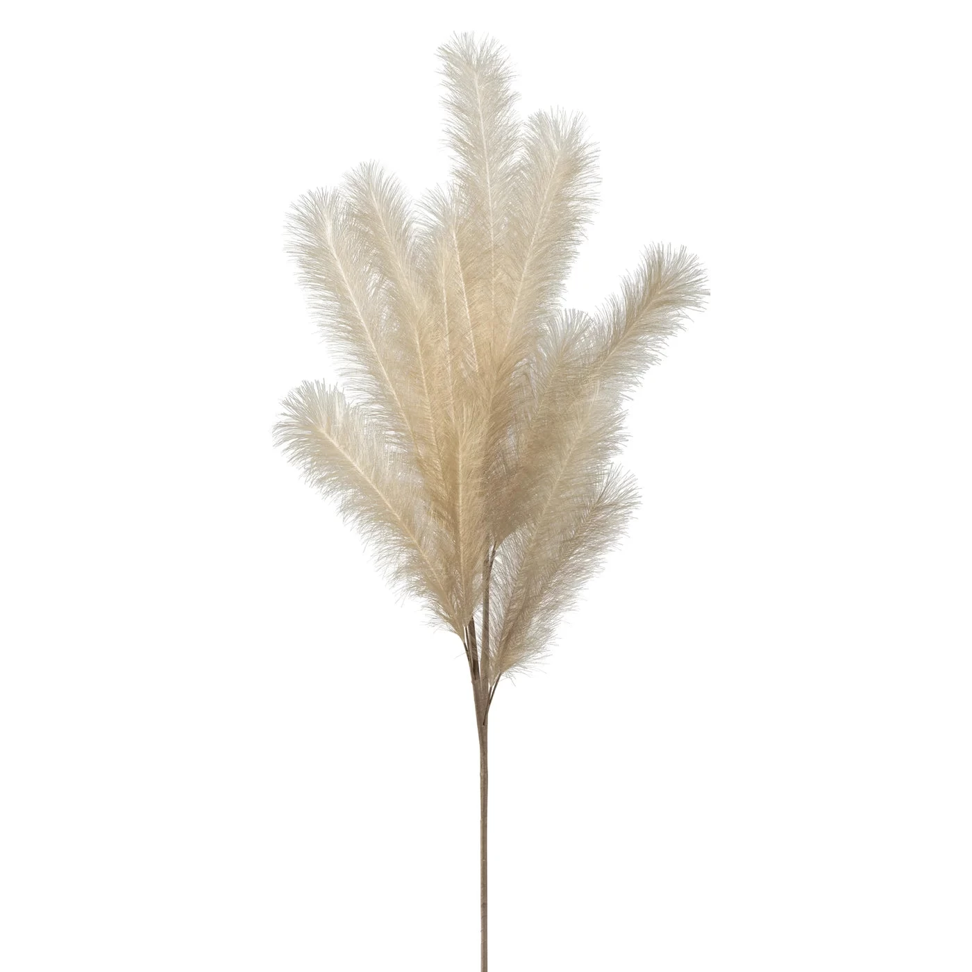 Desert Feather Pampas Stem - Cream 3 Desert Feather Pampas Stem - Cream