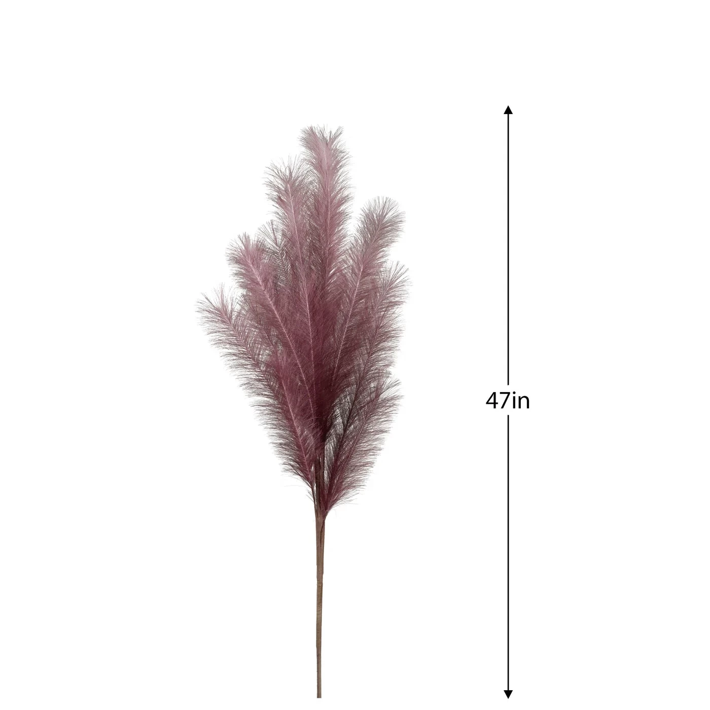 Desert Feather Pampas Stem - Purple 4 Desert Feather Pampas Stem - Purple - Image 2