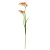 Freesia Multi Bloom 33" Stem - Orage -Chic Furniture Shop 26818 z lg