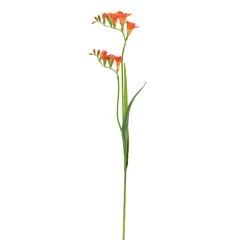 Freesia Multi Bloom 33" Stem - Orage