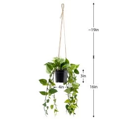 Ivy Hanging Faux Potted Plant With String Hanger 7 Ivy Hanging Faux Potted Plant With String Hanger -Chic Furniture Shop 26870 z 2 lg