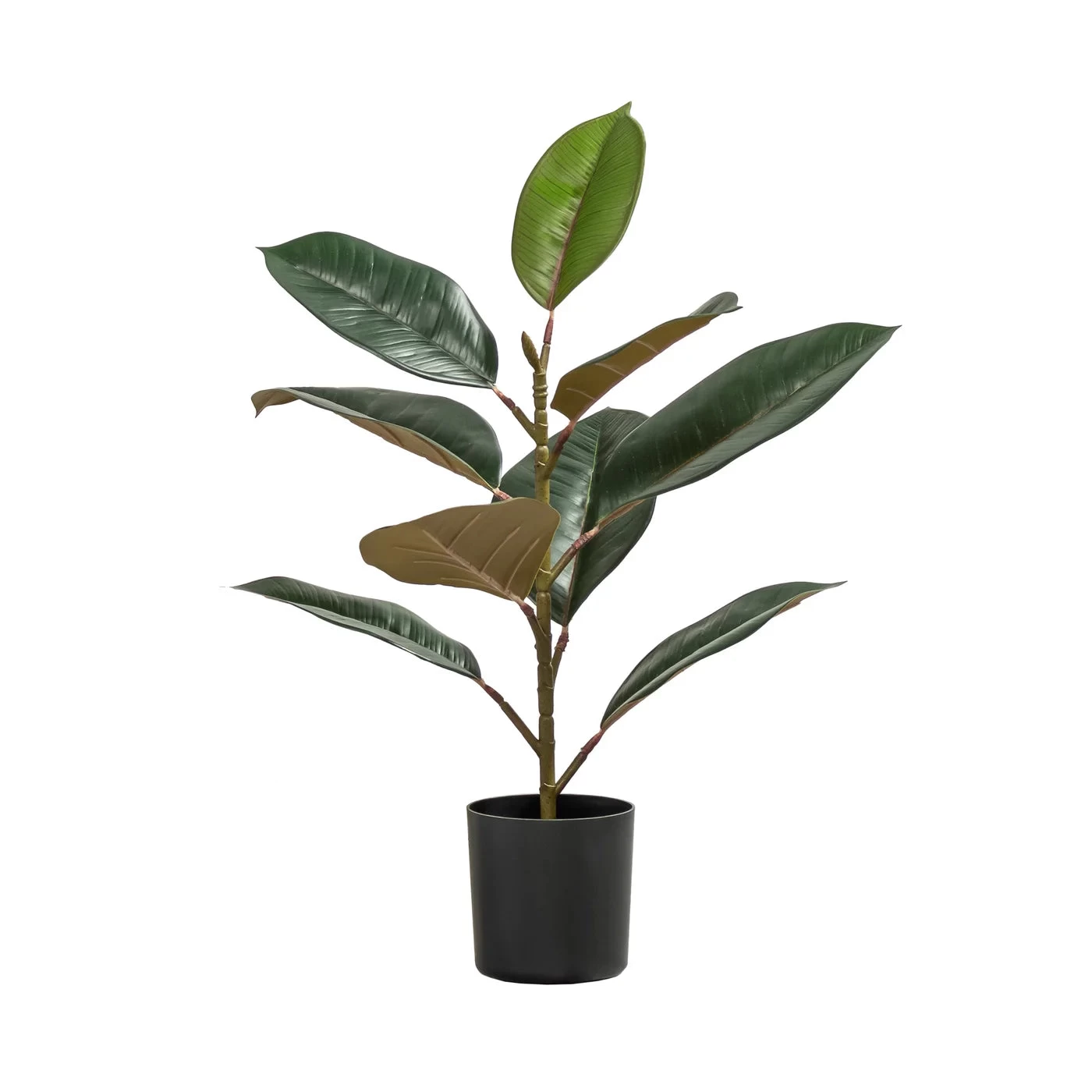 Rubber Tree 21h" Faux Potted Plant 7 Rubber Tree 21h" Faux Potted Plant - Image 5