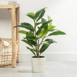 Rubber Tree 29h" Faux Potted Plant -Chic Furniture Shop 26879 z 3 lg