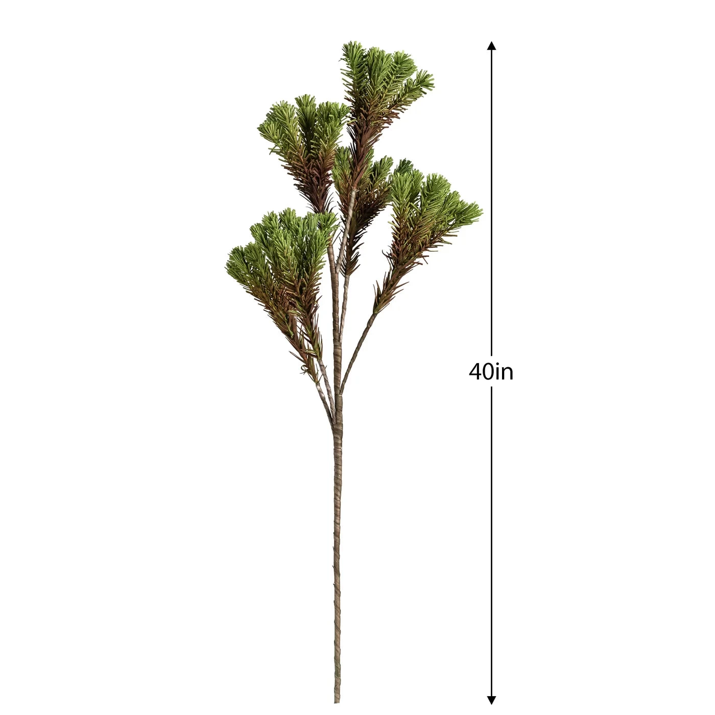 Desert Pine Cluster 40" Stem - Green 4 Desert Pine Cluster 40" Stem - Green - Image 2