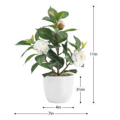 Rose Potted 11h" Faux Flowering Plant - White -Chic Furniture Shop 27050 z 2 lg