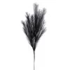 Desert Feather Pampas Stem - Black -Chic Furniture Shop 27123 z lg