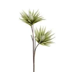 Desert Two Bloom Cactus Flower 37" Stem - Green