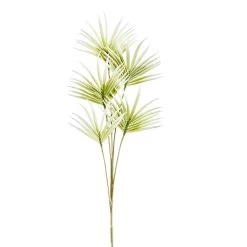 Desert Five Bloom Fan Flower 43" Stem - Green