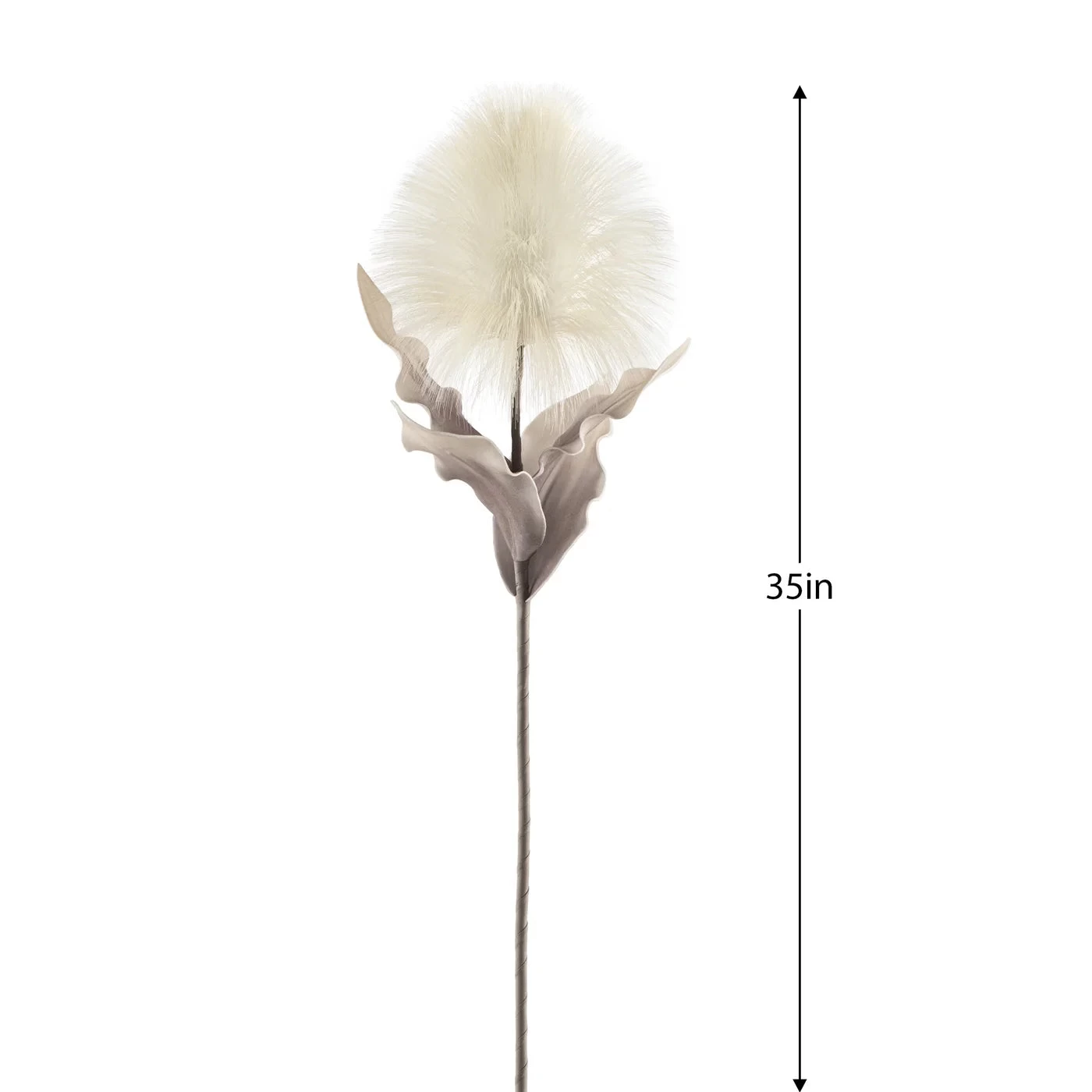 Desert Blooming Feather Pod 35" Stem - Cream 4 Desert Blooming Feather Pod 35" Stem - Cream - Image 2