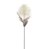 Desert Blooming Feather Pod 35" Stem - Cream