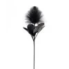Desert Blooming Feather Pod 35" Stem - Black -Chic Furniture Shop 27139 z lg