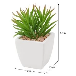 Tapered Mini Faux Succulent Potted Plant - Spike -Chic Furniture Shop 27291 z 3 lg