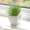 Tapered Mini Faux Succulent Potted Plant - Spike