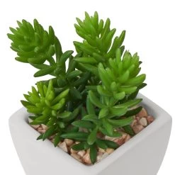 Tapered Mini Faux Succulent Potted Plant - Jellybean -Chic Furniture Shop 27292 z 2 lg