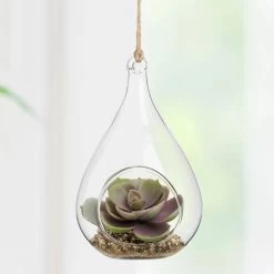 Hanging Glass 5h" Teardrop Potted Faux Succulent - Echeveria -Chic Furniture Shop 27347 z 3 lg