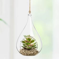 Hanging Glass 5h" Teardrop Potted Faux Succulent - Sedum -Chic Furniture Shop 27348 z 3 lg