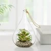Hanging Glass 5h" Teardrop Potted Faux Succulent - Sedum -Chic Furniture Shop 27348 z lg
