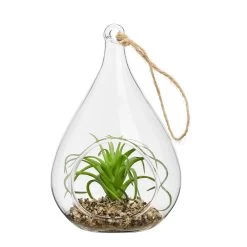 Hanging Glass 5h" Teardrop Potted Faux Succulent - Air Plant -Chic Furniture Shop 27349 z 1 lg