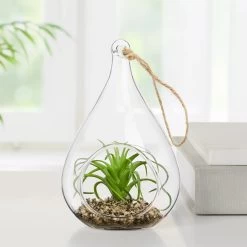 Chic Furniture Shop 19 Hanging Glass 5h" Teardrop Potted Faux Succulent - Air Plant
