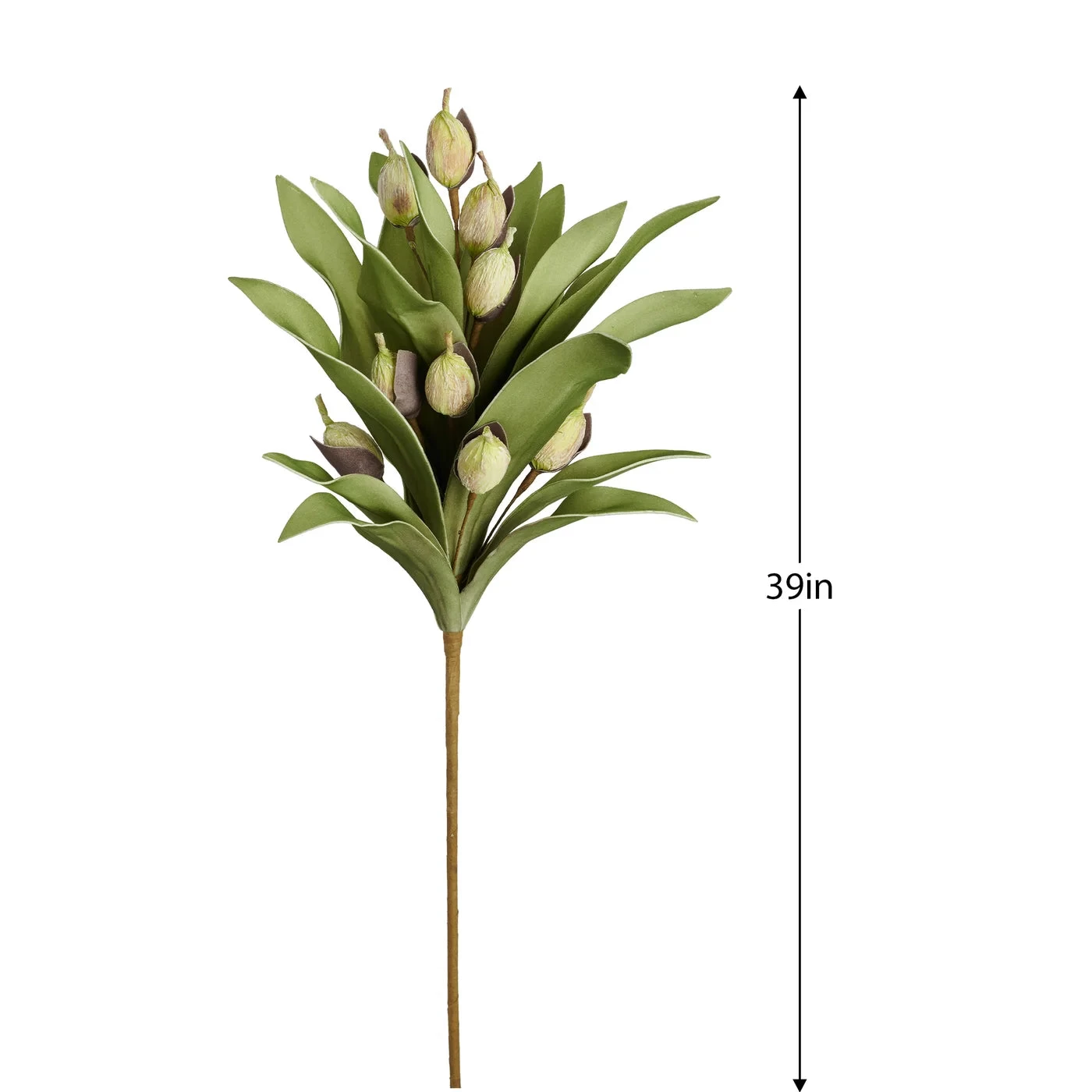 Desert Pod Succulent 39" Stem 4 Desert Pod Succulent 39" Stem - Image 2