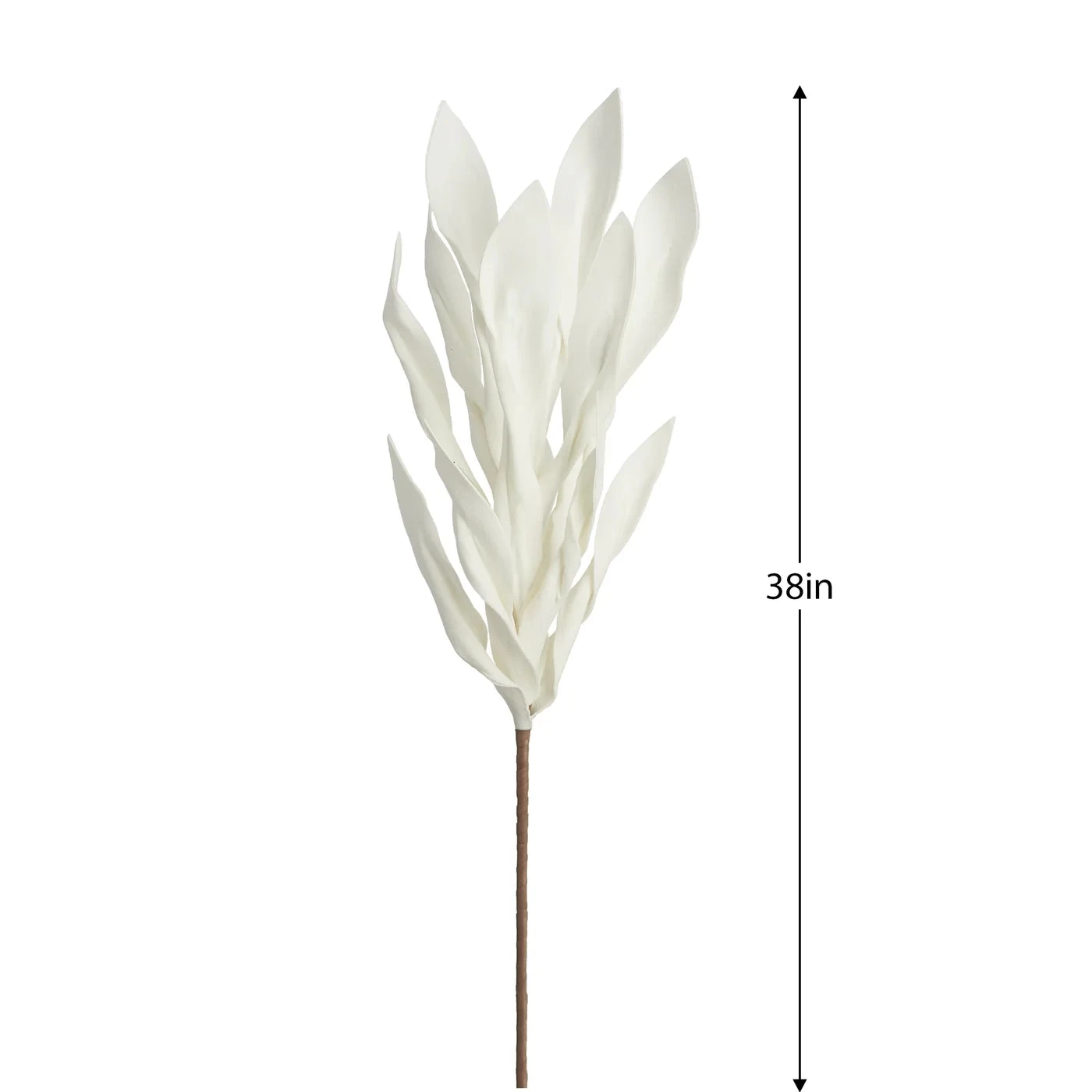 Desert Broad Leaf Flame Grass 38" Stem - Antique White 4 Desert Broad Leaf Flame Grass 38" Stem - Antique White - Image 2