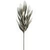 Desert Broad Leaf Flame Grass 38" Stem - Antique Grey -Chic Furniture Shop 27416 z lg