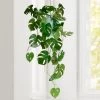 Monstera Faux 33L" Multi Leaf Vine Spray -Chic Furniture Shop 27458 z lg
