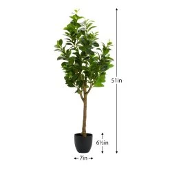Peperomia Tree 51h" Potted Faux Plant -Chic Furniture Shop 27462 z 3 lg 1