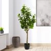 Peperomia Tree 51h" Potted Faux Plant -Chic Furniture Shop 27462 z lg