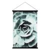 Miko Hanging Printed Canvas Rolled Wall Art - Succulent -Chic Furniture Shop 903780B 2