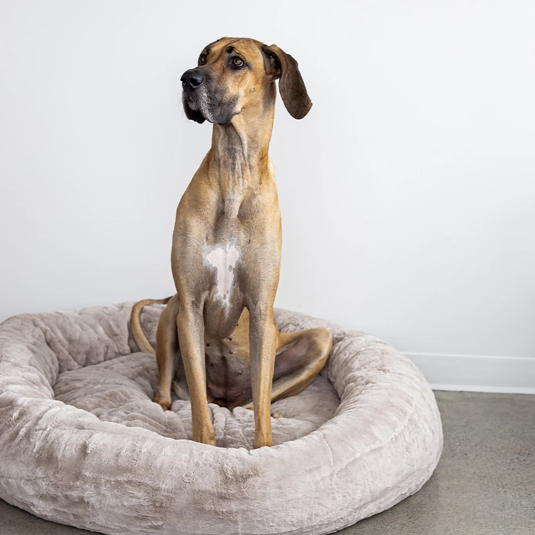 Frank’s Cuddler Small – Taupe 6 Frank’s Cuddler Small – Taupe - Image 4