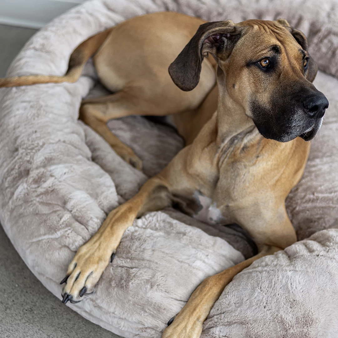 Frank’s Cuddler Small – Taupe 4 Frank’s Cuddler Small – Taupe - Image 2