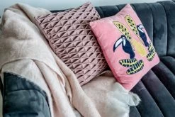 Freedom Cushion Toucan -Chic Furniture Shop FRE 016freedom throw paris blush burel