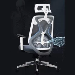 Omega Office Chair -Chic Furniture Shop aergca dfbad adfv